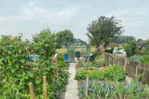 Allotment site