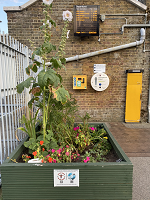Planter at Deal train station