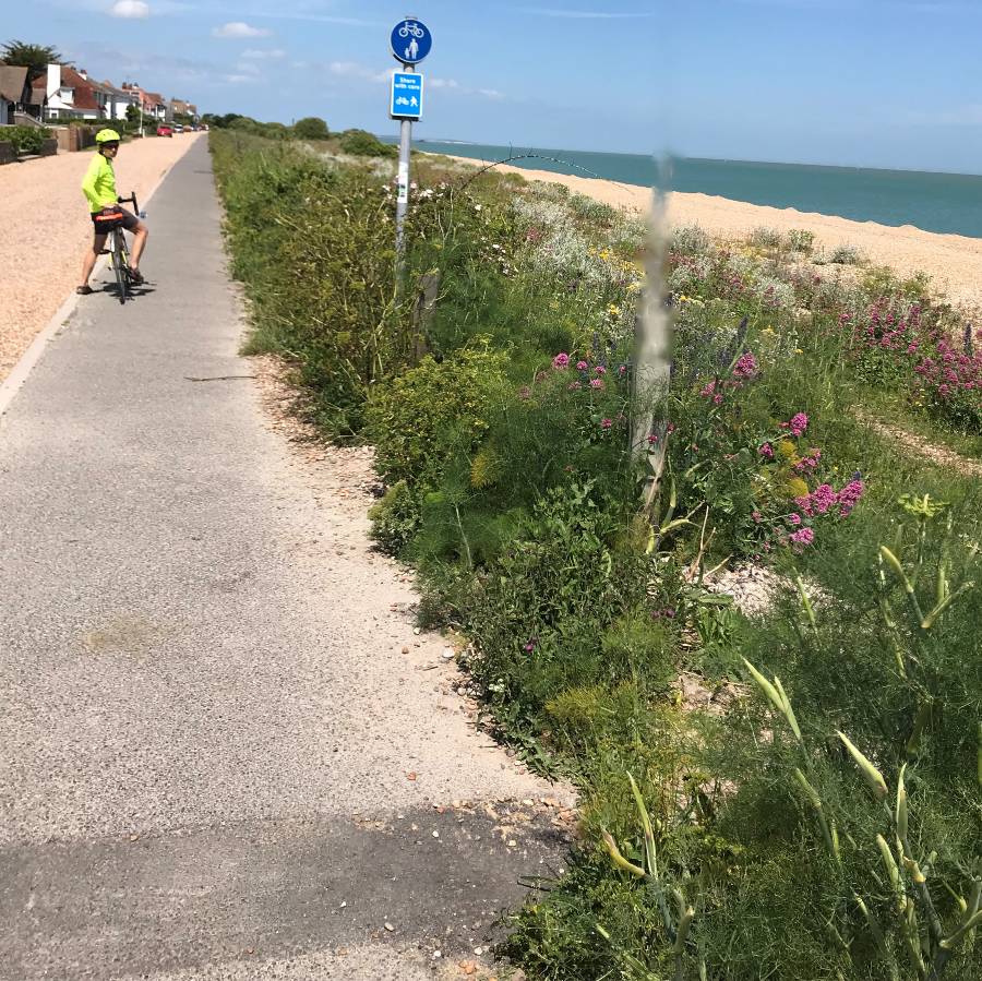 National Cycle Network Route 1 Kingsdown