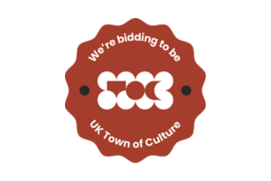 Town of Culture we are bidding