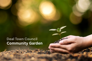 community garden image