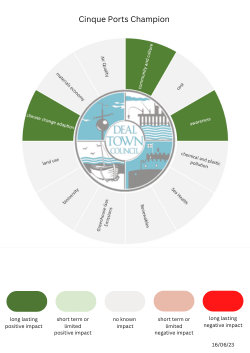 Carbon emission checklist Confederation of Cinque Ports Champion