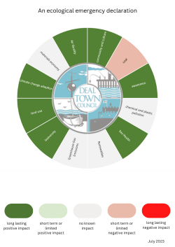 Declaration of Ecological Emergency Carbon emission checklist