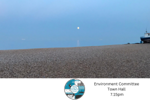 Environment committee