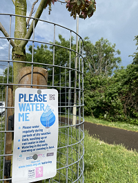 watering sign on a tree
