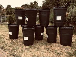 water butts at the allotment